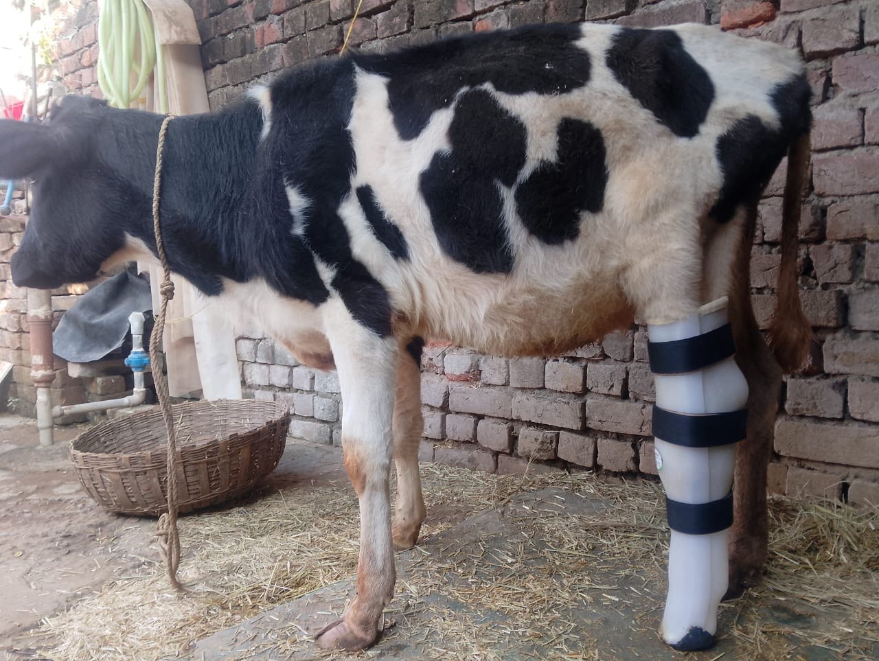 Gauri injured in Op Sindoor fitted with Krishna Limb